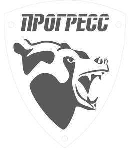 Лого АЗСМ "Прогресс"